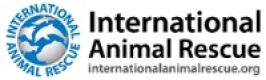 International Animal Rescue in Java, Indonesia